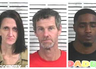 CCSO arrest roundup