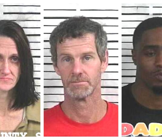 CCSO arrest roundup
