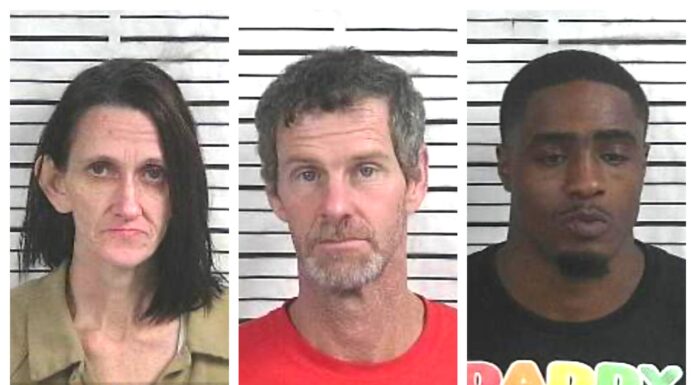 CCSO arrest roundup