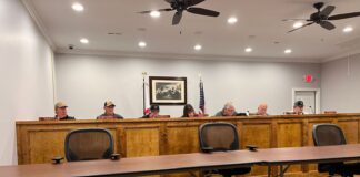 Baileyton decking the halls – well, Hwy. 69 – Nov. 27