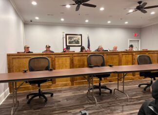 Baileyton decking the halls – well, Hwy. 69 – Nov. 27