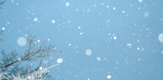 Beat cabin fever with fun-filled winter activities