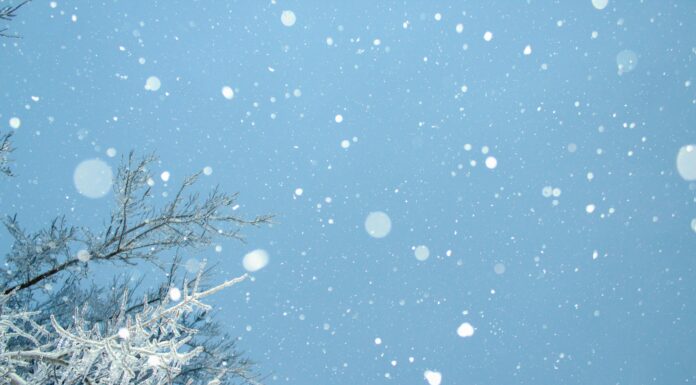 Beat cabin fever with fun-filled winter activities