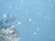 Beat cabin fever with fun-filled winter activities