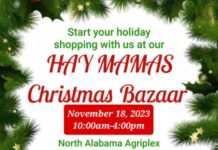 HAY Mamas hosting Christmas Bazaar this Saturday at Agriplex