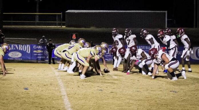 PREP FOOTBALL PLAYOFFS: Addison’s season ends with 32-20 loss to Pickens County