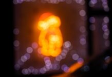 Focusing on mental health this holiday season