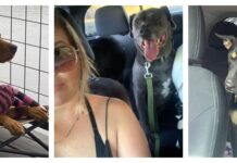 ‘They pay it back tenfold’