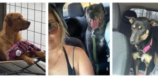 ‘They pay it back tenfold’