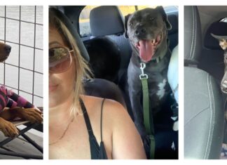 ‘They pay it back tenfold’