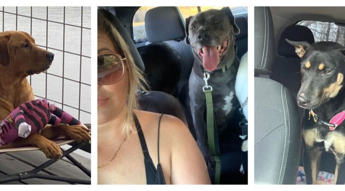 ‘They pay it back tenfold’