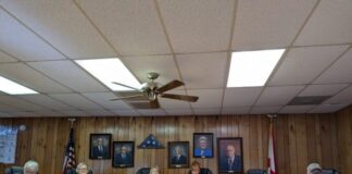 Vinemont Town Council talks holiday events