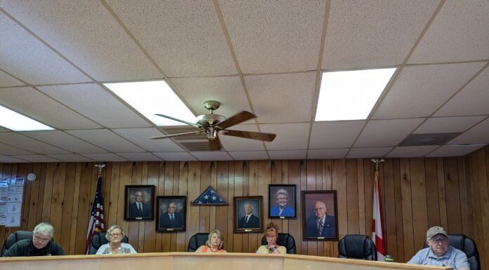 Vinemont Town Council talks holiday events