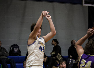 PREP BASKETBALL: Addison downs Winston County 51-34, Lady Bulldogs fall 71-32