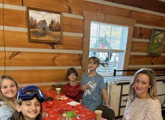 Vinemont hosts Christmas in the Park