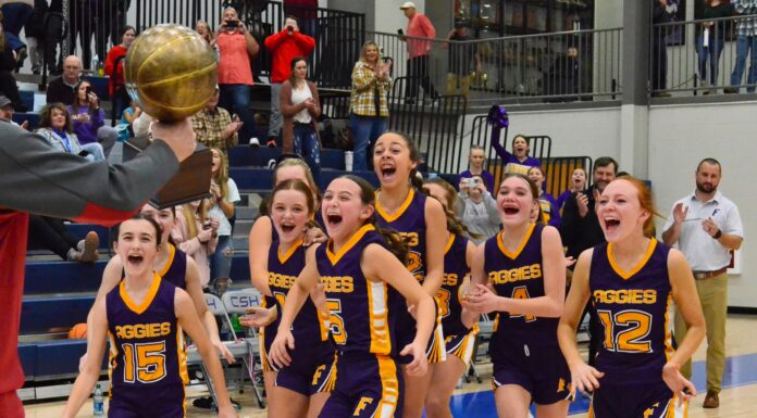 MIDDLE SCHOOL BASKETBALL: Fairview edges Cold Springs 33-30 to claim back to back county titles