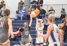 PREP BASKETBALL: Cold Springs Eagles, Lady Eagles split area openers against Southeastern