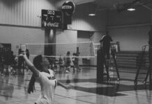 PREP VOLLEYBALL: ‘Help the younger ones reach their full potential’: Hanceville’s Karys Henderson recaps junior season