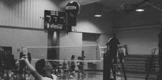 PREP VOLLEYBALL: ‘Help the younger ones reach their full potential’: Hanceville’s Karys Henderson recaps junior season