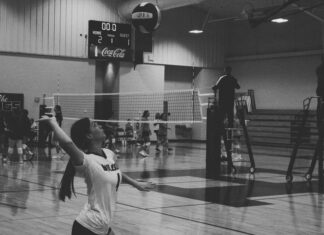 PREP VOLLEYBALL: ‘Help the younger ones reach their full potential’: Hanceville’s Karys Henderson recaps junior season