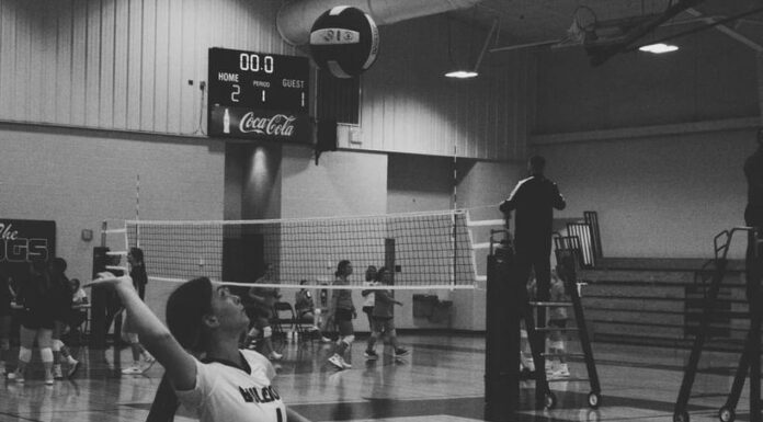 PREP VOLLEYBALL: ‘Help the younger ones reach their full potential’: Hanceville’s Karys Henderson recaps junior season