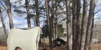 Christmas on the Farm