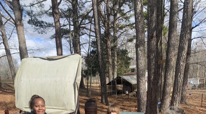 Christmas on the Farm