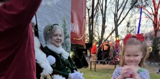 Falkville celebrates 25 years of Christmas in the Park