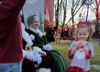 Falkville celebrates 25 years of Christmas in the Park