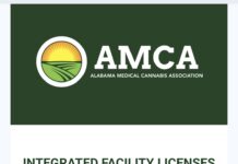 Wagon Trail Med-Serv awarded medical cannabis business license