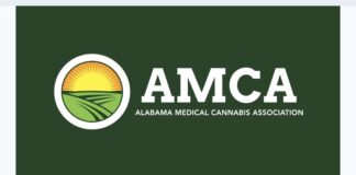 Wagon Trail Med-Serv awarded medical cannabis business license