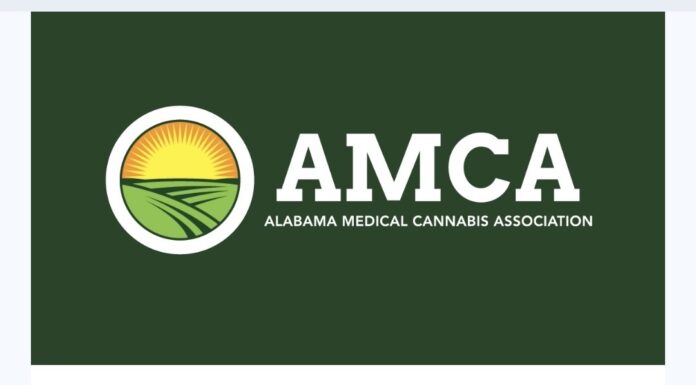 Wagon Trail Med-Serv awarded medical cannabis business license