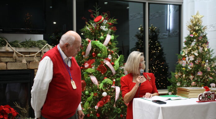 Inaugural Festival of Trees underway at CWAC