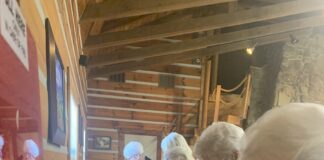 Vinemont seniors enjoy Christmas meal, cookie contest