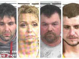 CCSO arrest roundup
