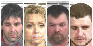 CCSO arrest roundup