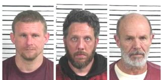 CCSO arrest roundup