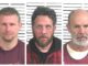 CCSO arrest roundup