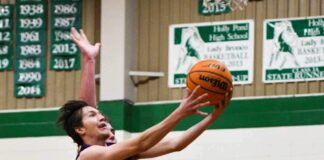 PREP BASKETBALL: Hanceville picks up 60-43 win at Holly Pond, Lady Broncos handle Lady Bulldogs 48-24