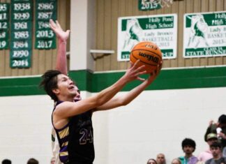 PREP BASKETBALL: Hanceville picks up 60-43 win at Holly Pond, Lady Broncos handle Lady Bulldogs 48-24