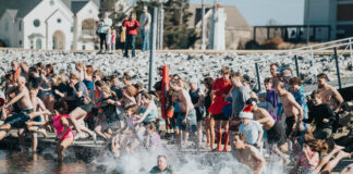 Polar bears taking plunge in the New Year for Meals on Wheels & More