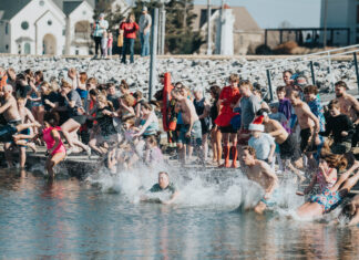 Polar bears taking plunge in the New Year for Meals on Wheels & More