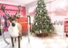 Santa’s Workshop open for visitors