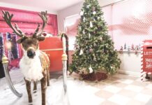 Santa’s Workshop open for visitors