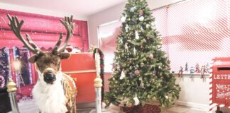 Santa’s Workshop open for visitors