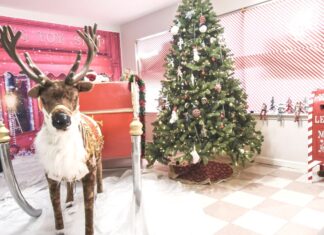 Santa’s Workshop open for visitors