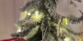 EDITORIAL: Christmas is over, now what?