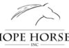 Hope Horses Spirit Night at Johnny’s Jan. 16