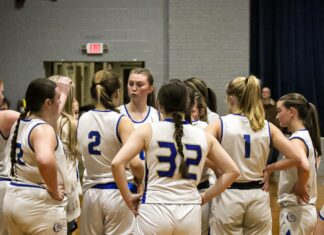 PREP BASKETBALL: Addison Bulldogs, Lady Bulldogs collect area wins over Meek