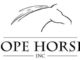 Hope Horses Spirit Night at Johnny’s Jan. 16
